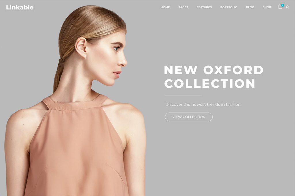 WooCommerce Theme